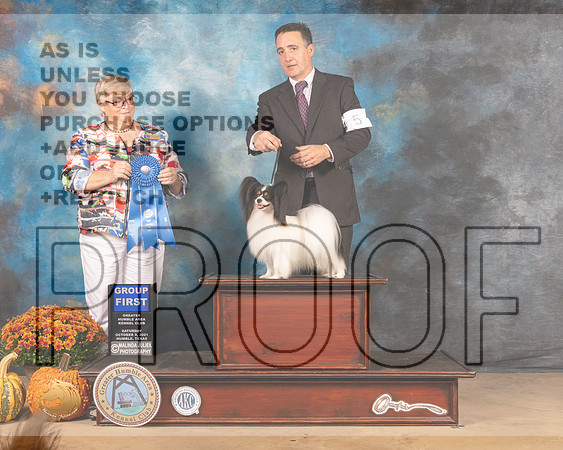 Papillon #5 Sun G1 Judge Mary Napper-MMJ_6193-Humble2021