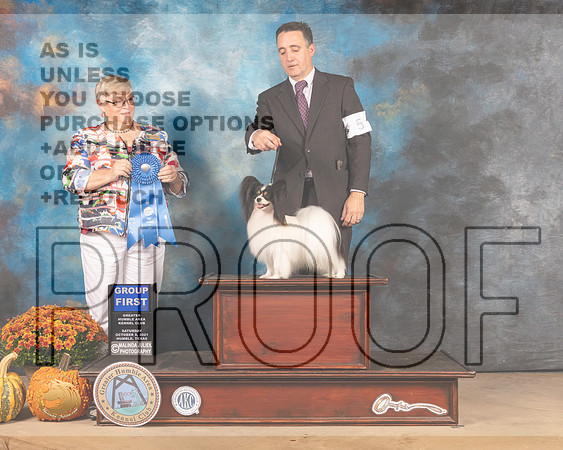 Papillon #5 Sun G1 Judge Mary Napper-MMJ_6198-Humble2021