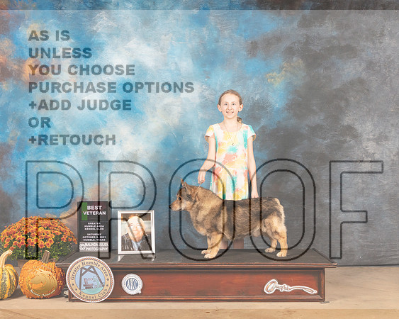 Swedish Vallhund #5 Sat BVet Judge Dale Meyer-MMJ_6178-Humble2021