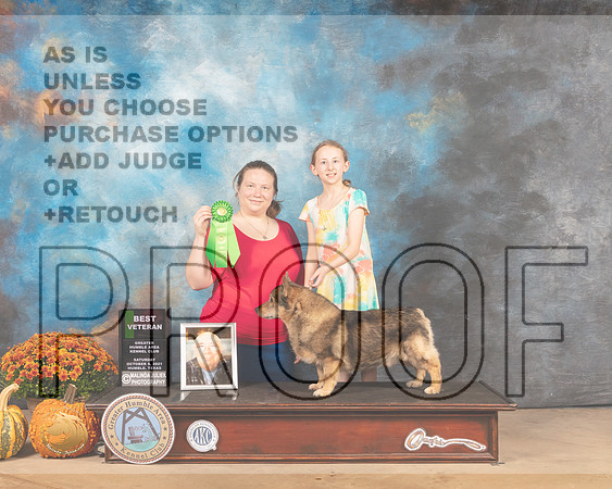 Swedish Vallhund #5 Sat BVet Judge Dale Meyer-MMJ_6185-Humble2021
