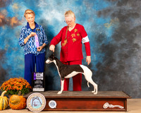 Whippet #32 Sun WB Judge Jeanne Buehler
