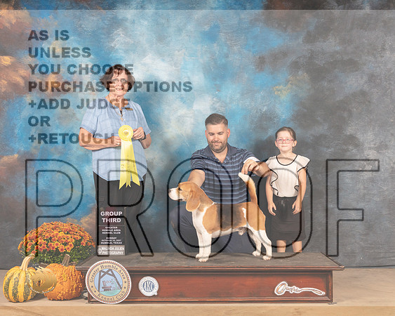 Beagle 15 #17 Sun G3 Judge Anne Gallant-MMJ_6237-Humble2021