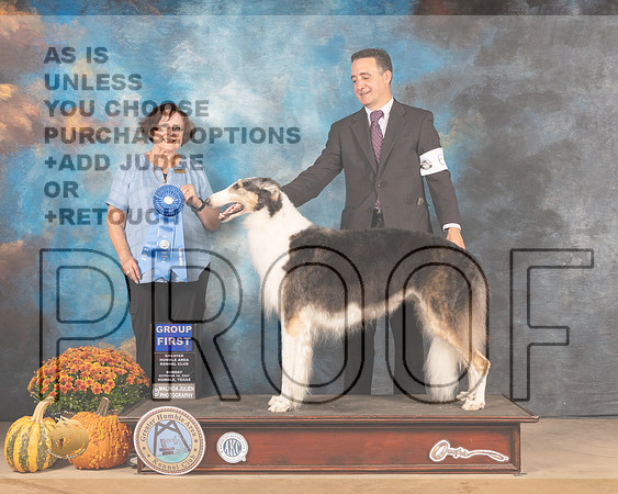Borzoi #6 Sun G1 Judge Anne Gallant-MMJ_6229-Humble2021