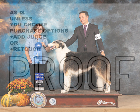 Borzoi #6 Sun G1 Judge Anne Gallant-MMJ_6233-Humble2021