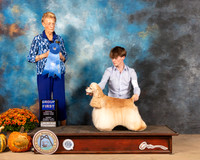 Cocker Spaniel ASCOB #5 Sun G1 Judge Joanne Buehler