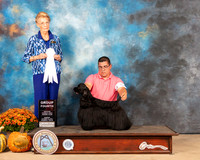 Cocker Spaniel Black #6 Sun G4 Judge Joanne Buehler