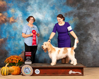 GBGV #5 Sun G2 Judge Anne Gallant