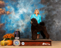 Poodle Std #20 Sun BOW Judge Anne Gallant