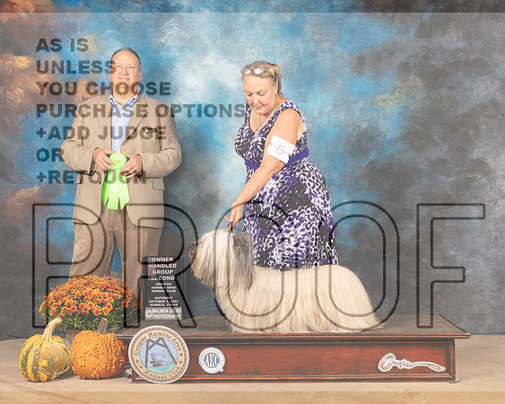 Sky Terrier #6 Sun OHG2 Judge Jay Richardson-MMJ_6221-Humble2021