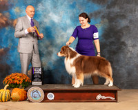 Australian Shepherd #9 Sun BOB Judge Gary Sparschu