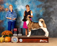 Akita #8 Sun G2 Judge Jay Richardson OHG2 Judge Joanne Buehler