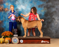 Boerbel #5 Sun OHG1 Judge Joanne Buehler