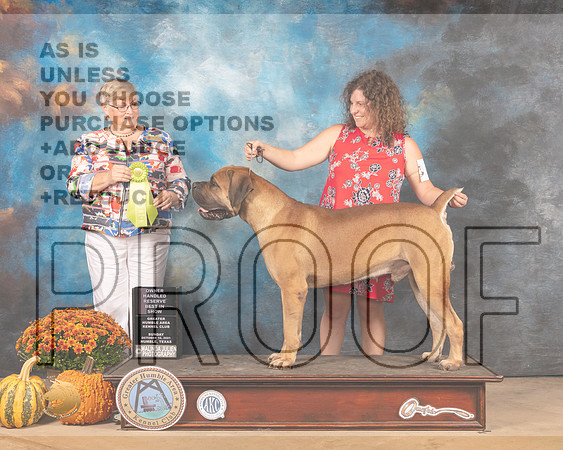 Boerbel #5 Sun OHRBIS Judge Mary Napper-MMJ_6355-Humble2021