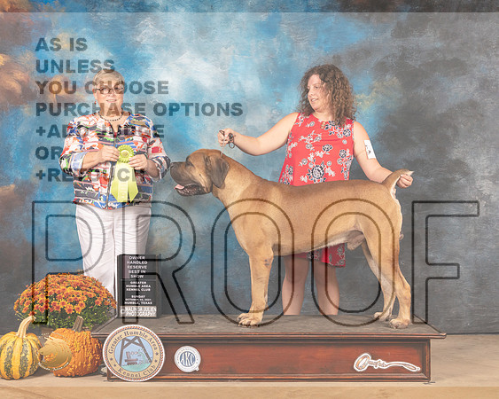Boerbel #5 Sun OHRBIS Judge Mary Napper-MMJ_6356-Humble2021