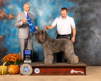 Bouvier #6 Sun G1 Judge Gary Sparschu