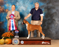 Boxer #18 Sun BIS Judge Jay Richardson