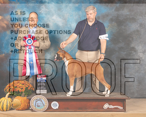 Boxer #18 Sun BIS Judge Jay Richardson-MMJ_6340-Humble2021