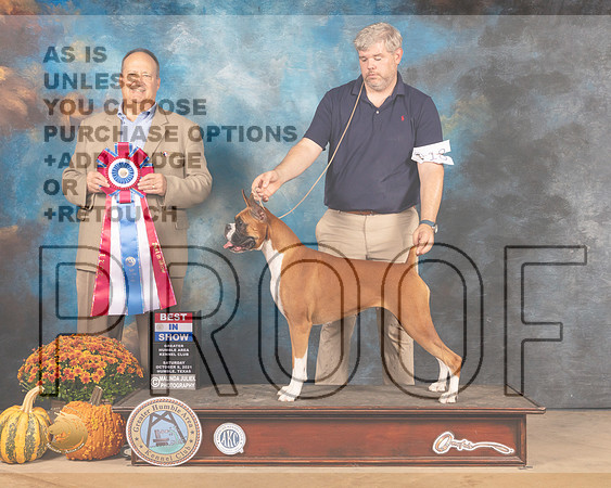 Boxer #18 Sun BIS Judge Jay Richardson-MMJ_6342-Humble2021