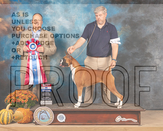Boxer #18 Sun BIS Judge Jay Richardson-MMJ_6343-Humble2021