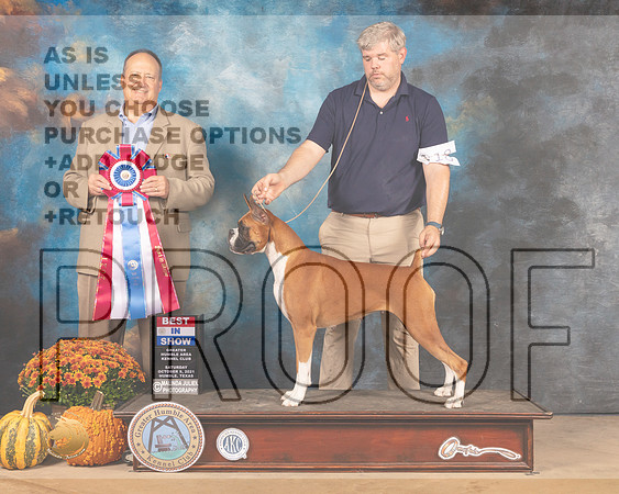 Boxer #18 Sun BIS Judge Jay Richardson-MMJ_6345-Humble2021