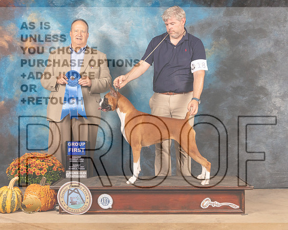 Boxer #18 Sun G1 Judge Jay Richardson-MMJ_6277-Humble2021