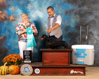 Dachshund Smooth #20 Sun OHBIS Judge Mary Napper