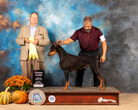 Doberman Pinscher #6 Sun G3 Judge Jay Richardson