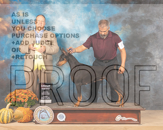 Doberman Pinscher #6 Sun G3 Judge Jay Richardson-MMJ_6347-Humble2021