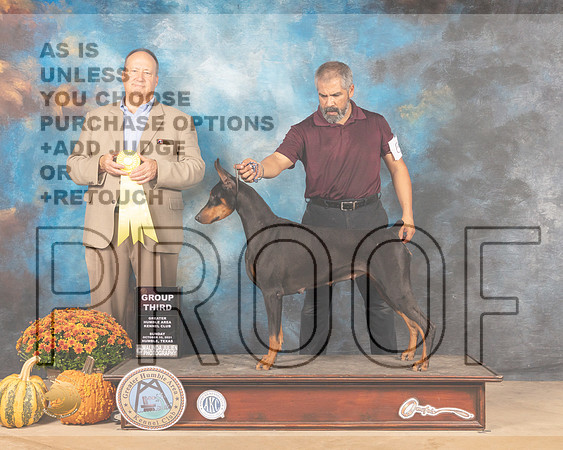 Doberman Pinscher #6 Sun G3 Judge Jay Richardson-MMJ_6351-Humble2021