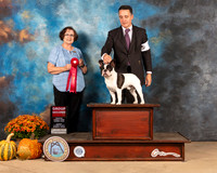 French Bulldog #7 Sun G2 Judge Anne Gallant