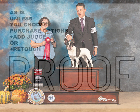 French Bulldog #7 Sun G2 Judge Anne Gallant-MMJ_6300-Humble2021