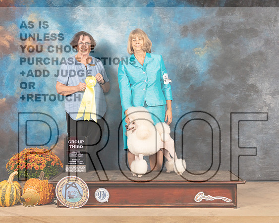 Poodle Miniature #10 Sun G3 Judge Anne Gallant-MMJ_6294-Humble2021