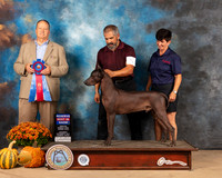 Xolo #5 Sun RBIS Judge Jay Richardson