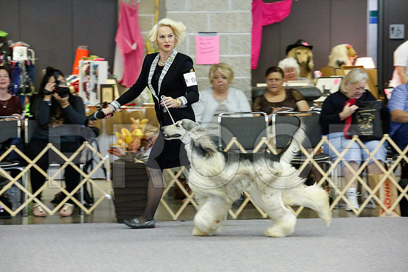 _JJ_1209-AfgBeltonOct2014-HR3