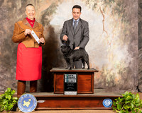 Pug #17 Sun NGrCh S Judge Carolyn Herbel