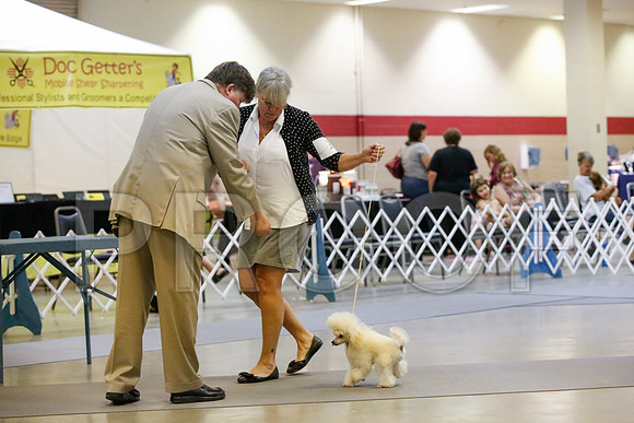 _JJ_1373-AmarilloSept2014-HR3