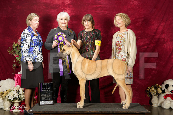 _ST_3023-BeltonJan2015IABCA-HR3