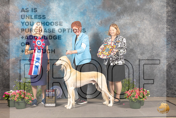 Saluki #5 Thur BIS Judge Jan Paulk_MJ_0039_SA_2022_HR3