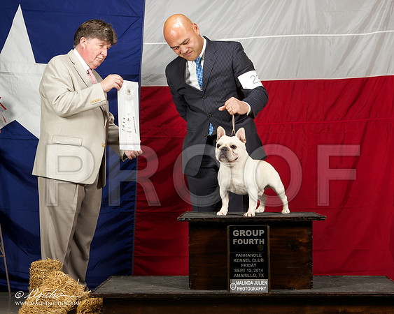 _ST_1576-AmarilloSep2014-HR3