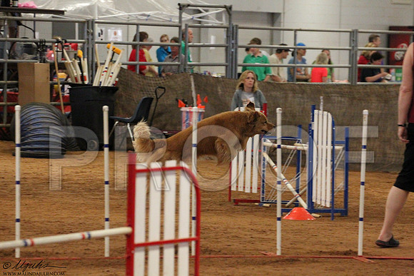 JWWSunAgility-5192LR