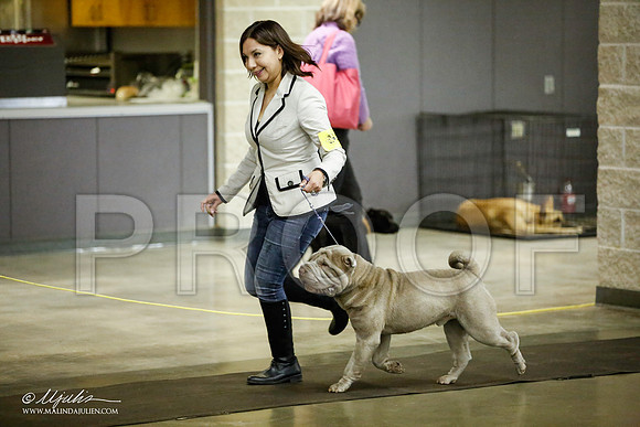 _JJ_5798-BeltonJan2015IABCA-HR3