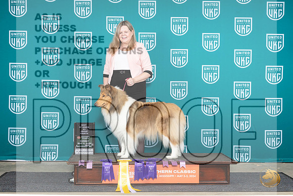 Rough Collie #158 FRI SAT SUN__JP_6670e_BatesvilleMS_2024_HR3