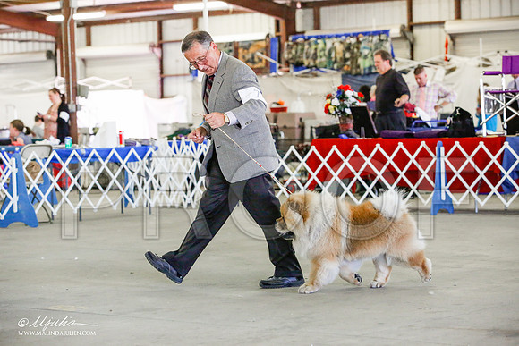 _JJ_4452-AlamogordoOct2014-HR3