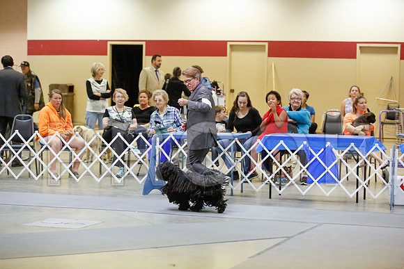 _JN_8616-AmarilloSept2014-HR3