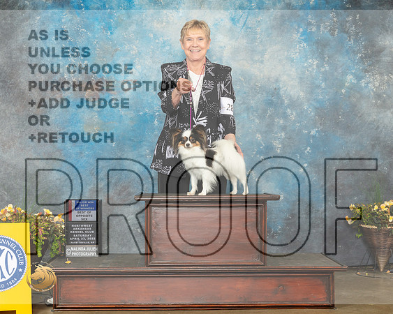 Papillon #23 Sun WBBOWBOS Judge John Ramirez-MMJ_1531-NWARK2022-HR3