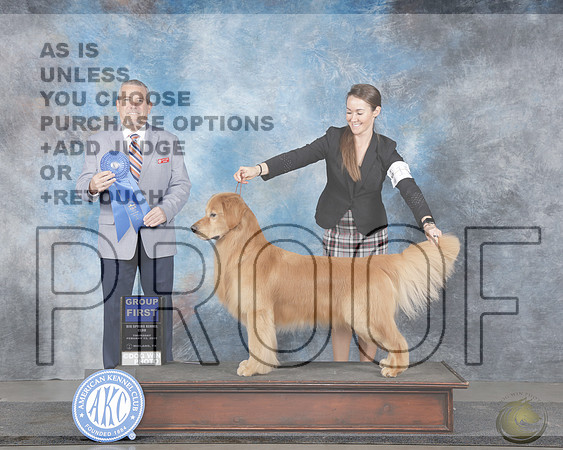 Golden Retriever #15 Thurs G1 Judge Dana ClineGolden Retriever #15 Thurs G1 Judge Dana Cline_WP_5382e-Midland 2025-HR3