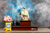 American Hairless Terrier #20 THUR WB BOW NCH Major Judge Ken Murray
