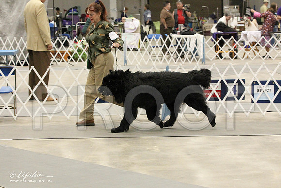 IMG_8727-Abilene2011-HR3
