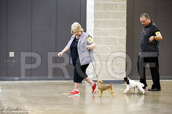 _J3L0227-BeltSep2014-HR
