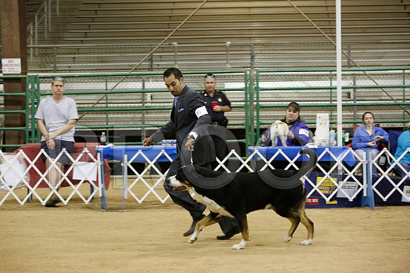 BIS-0905-HstnNov13-HR